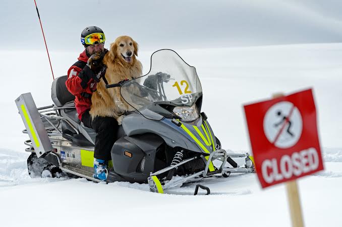 Henry gets a lift from Vail Ski Patrol, Photo Courtesy of Vail Resorts