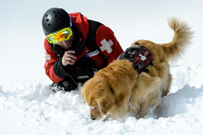 Henry at work. (Photo Courtesy of Vail Resorts.)