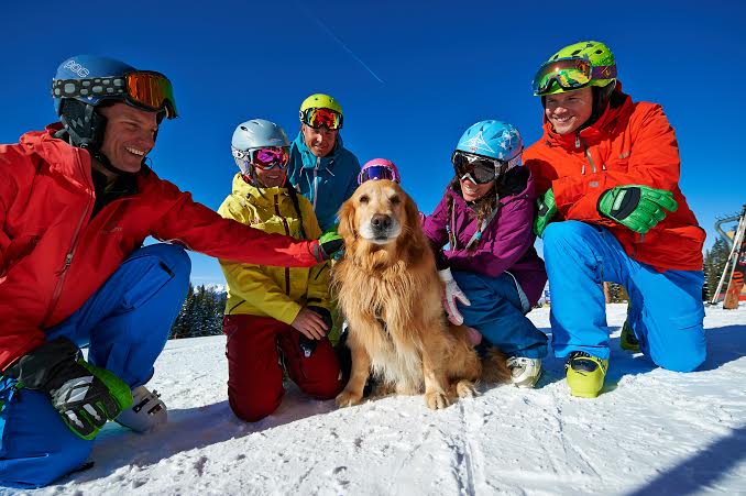 vail-rescue-dog-henry