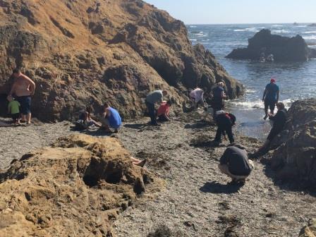 Glass Beach, Fort Bragg, California. Formerly a beach covered in glass but lack of controls and people who feel the need to take it have left the beach almost glass-less. :(