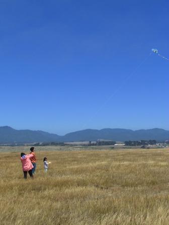 Kite Flying, Point Arena, California