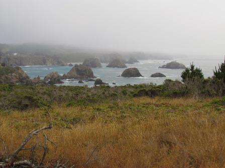 View from Area Near Cuffy's Cove Community Cemetery, Northern California